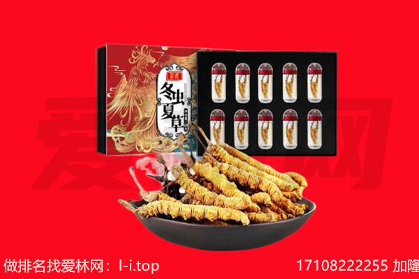 蕉城区回收虫草.jpg